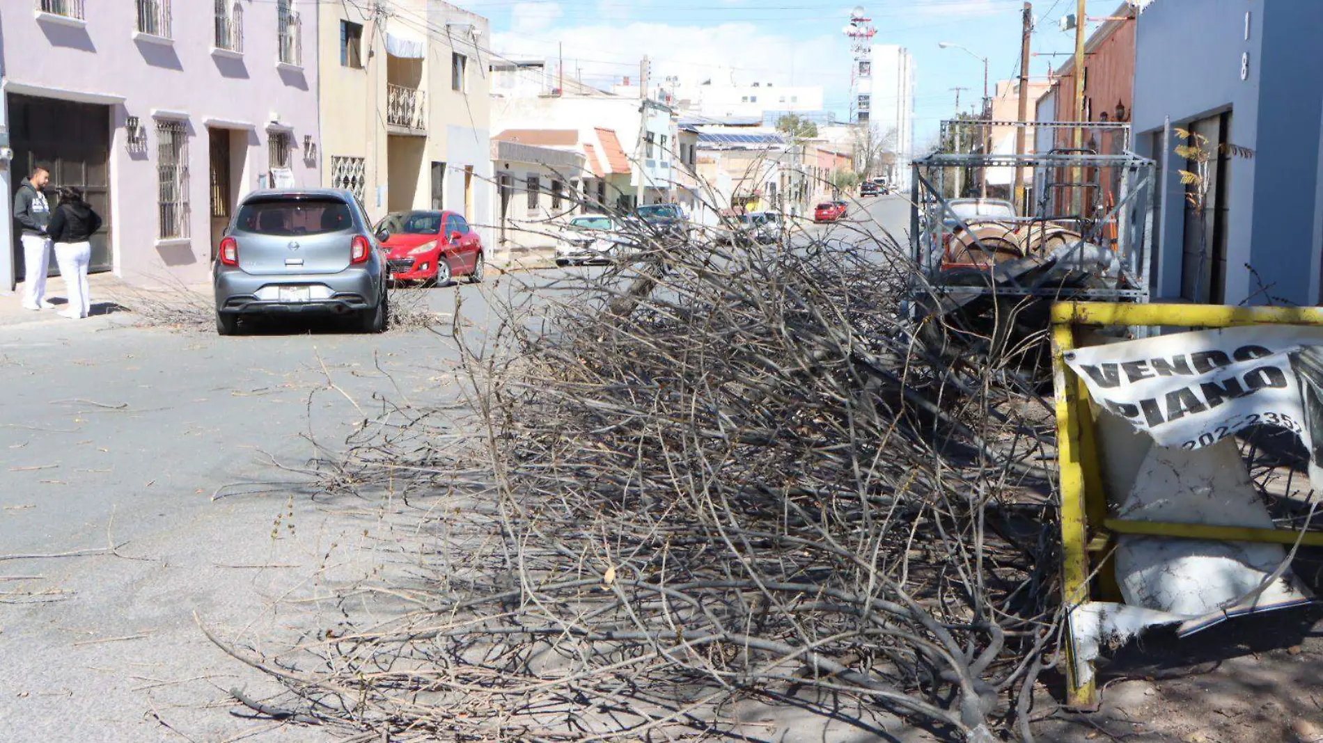 accidente poda ramas árbol